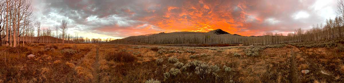 Panoramic landscape